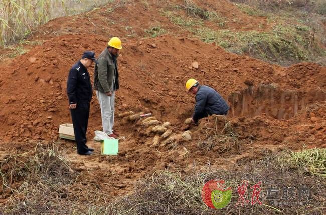 山东巨野：村民改造旱厕 挖出10余炮弹手榴弹